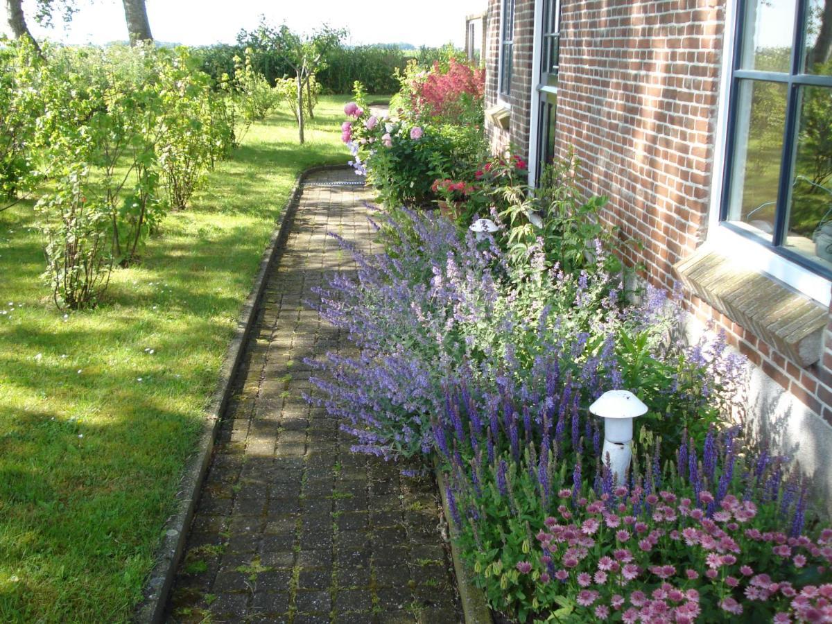 B&B Op De Vlakte Oosternijkerk Exterior photo